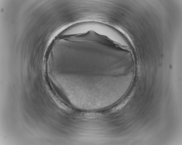 X0000085301077200704092252