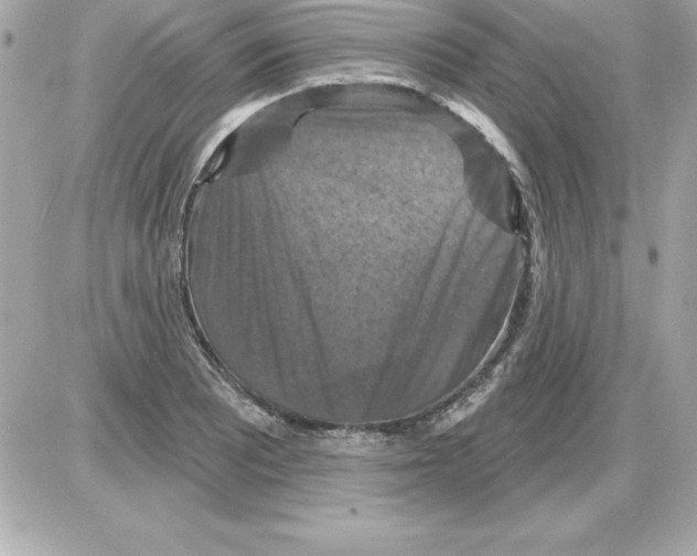 X0000085301081200704092251