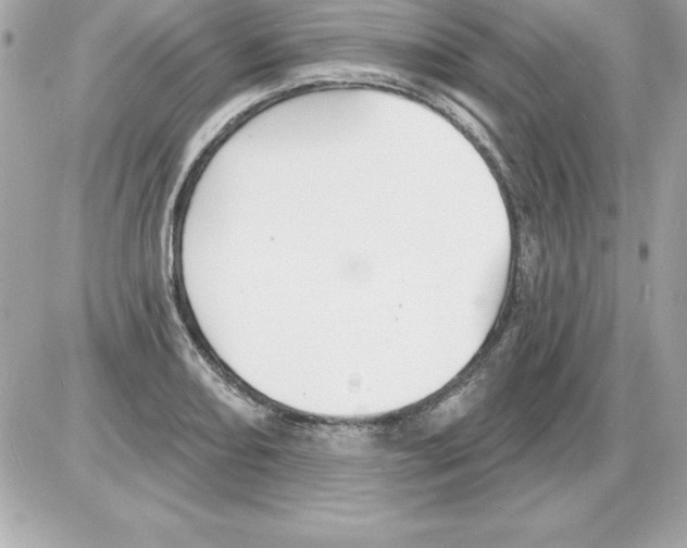 X0000085301082200704092251