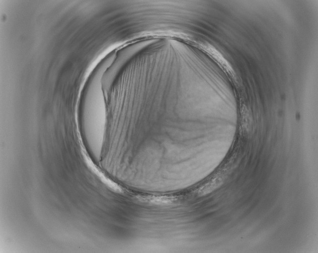 X0000085301084200704092251
