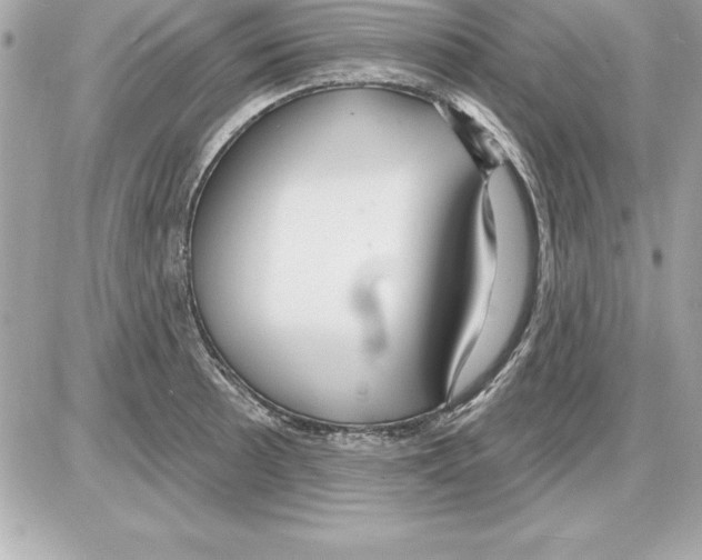 X0000085301089200704092251