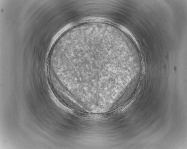 X0000085301090200704092251