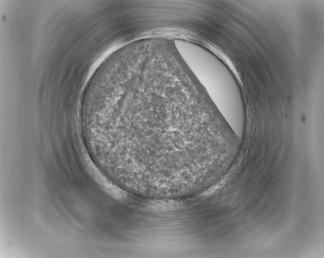 X0000085301091200704092251