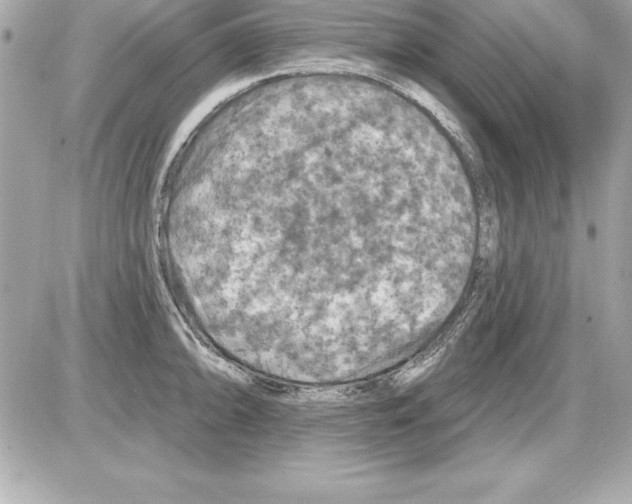 X0000085301094200704092251