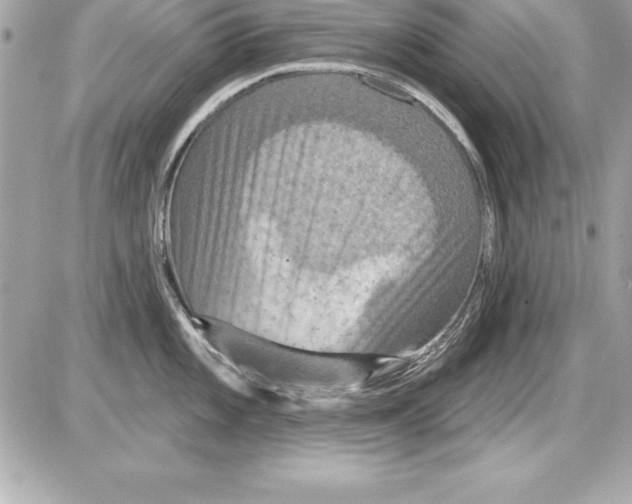 X0000085301101200704092251