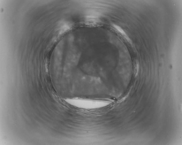 X0000085301106200704092250