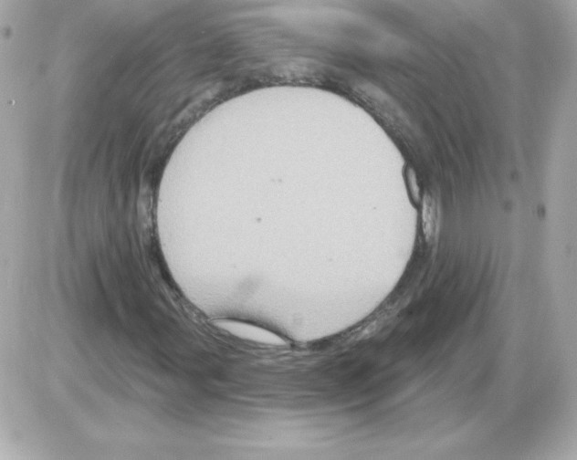 X0000085301107200704092250