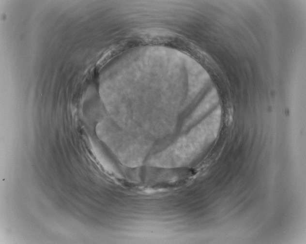 X0000085301108200704092250
