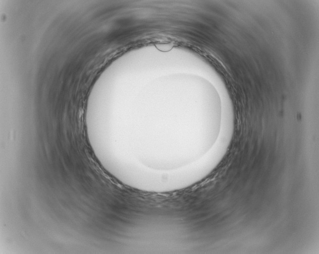 X0000085301111200704092250