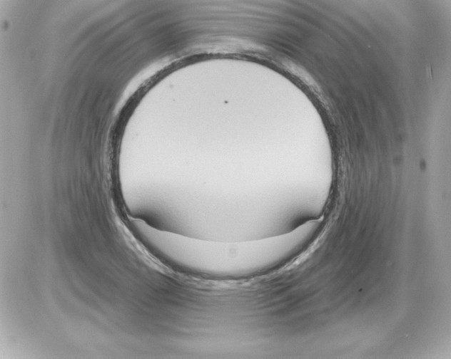 X0000085301122200704092251