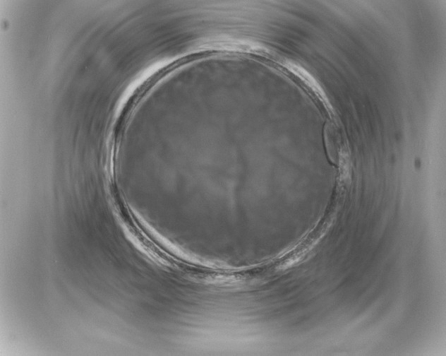 X0000085301128200704092251