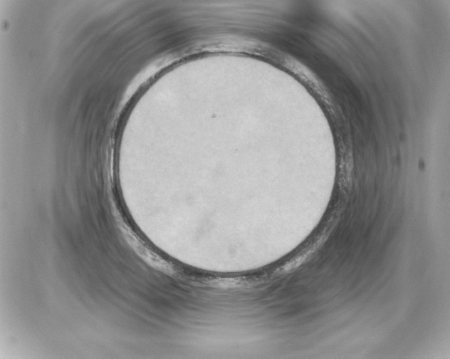 X0000085301130200704092251