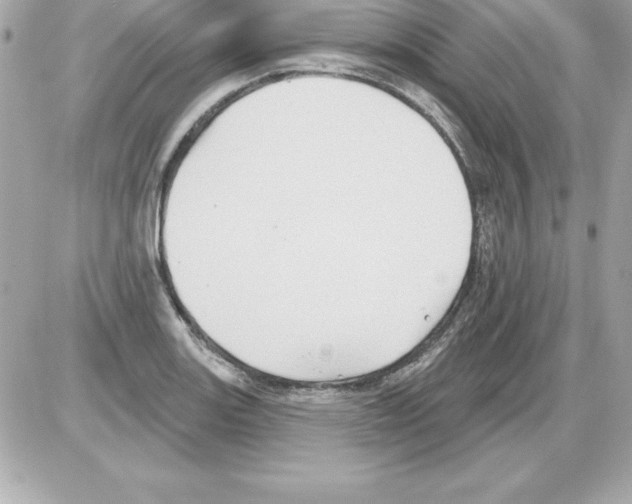 X0000085301131200704092251