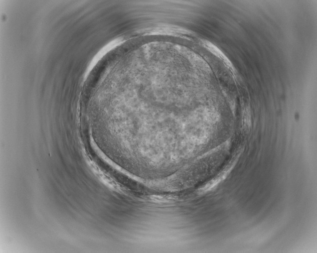 X0000085301138200704092251