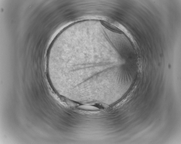 X0000085301140200704092251