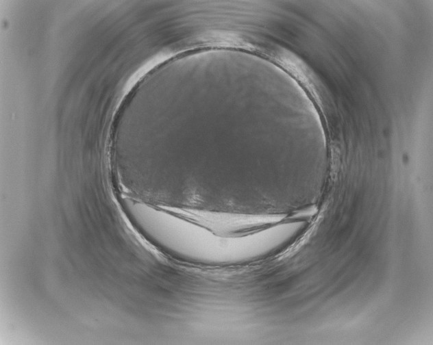X0000085301141200704092251