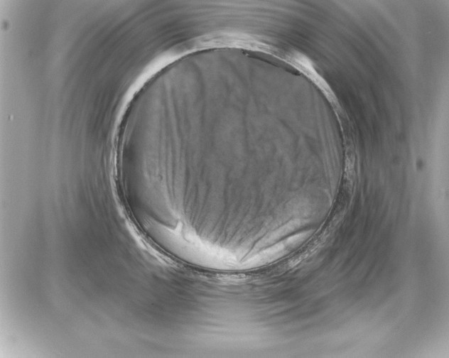 X0000085301144200704092251