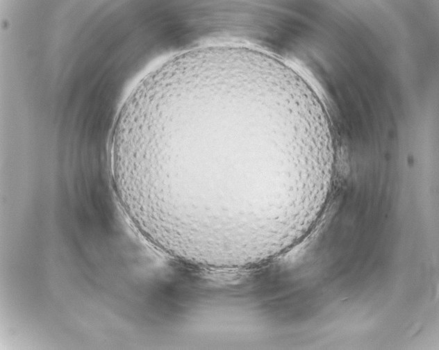 X0000085301150200704092251