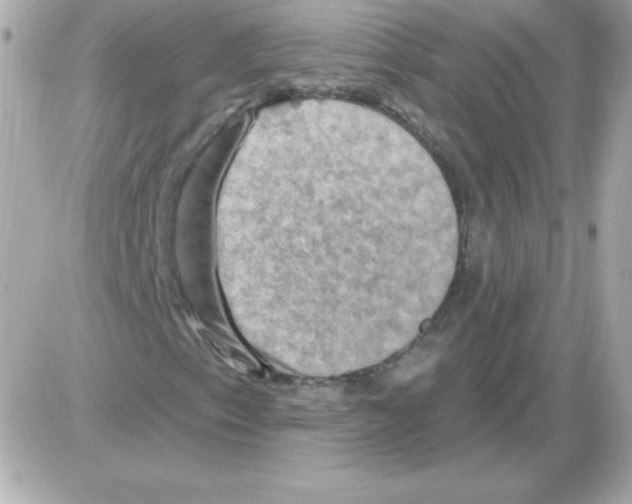 X0000085301153200704092250