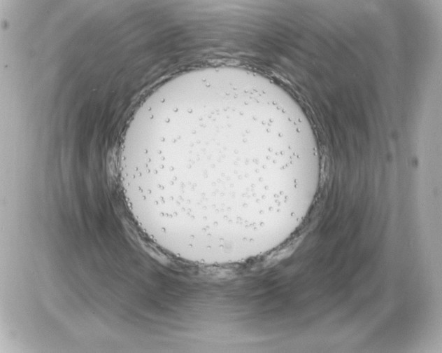 X0000085301154200704092250