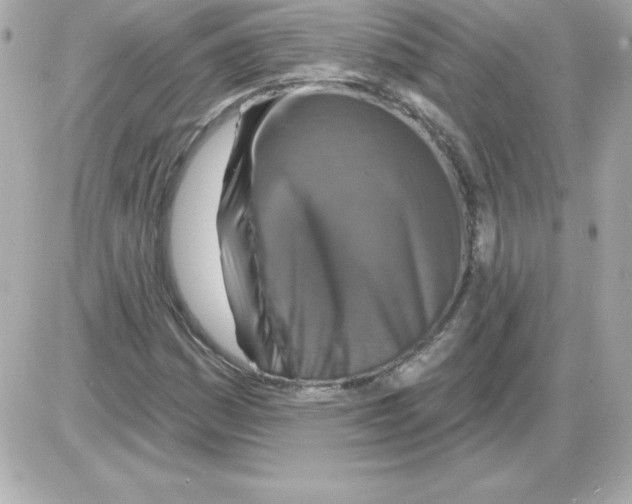 X0000085301161200704092250