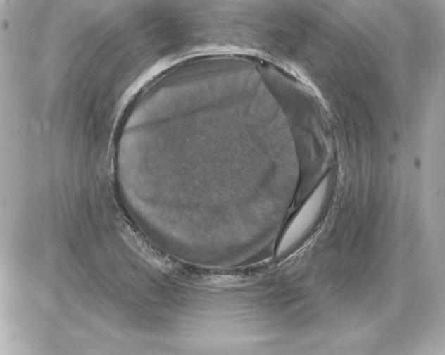 X0000085301173200704092250