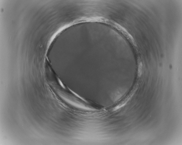 X0000085301174200704092250