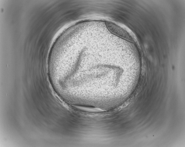 X0000085301191200704092250