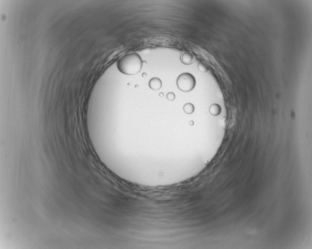 X0000085301201200704092249