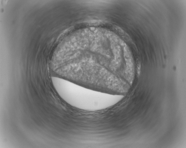 X0000085301204200704092249