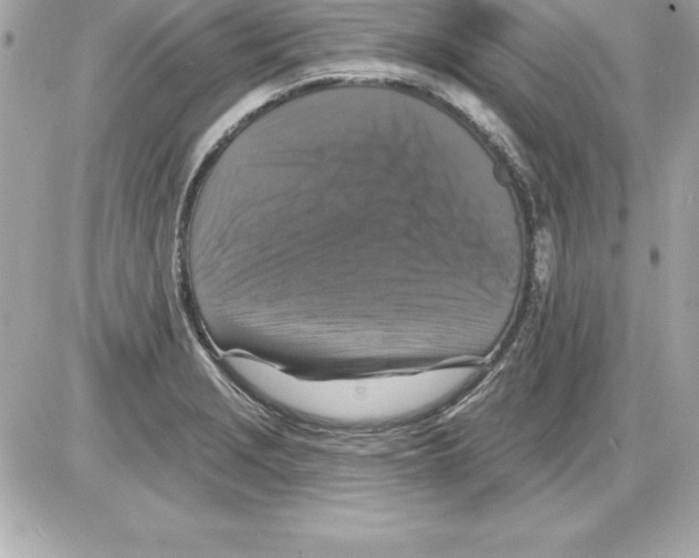 X0000085301229200704092249