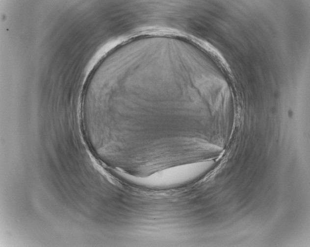 X0000085301231200704092249