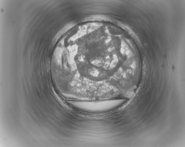 X0000085301233200704092249