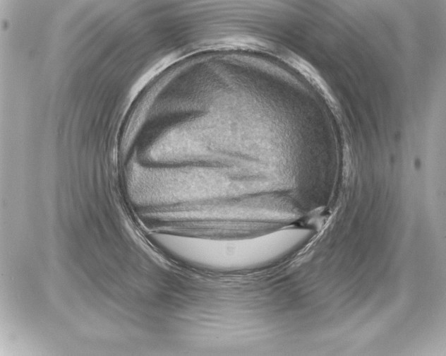 X0000085301234200704092249