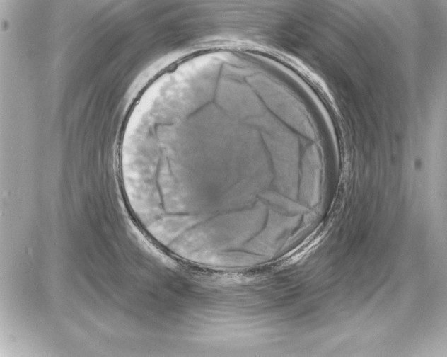 X0000085301239200704092249