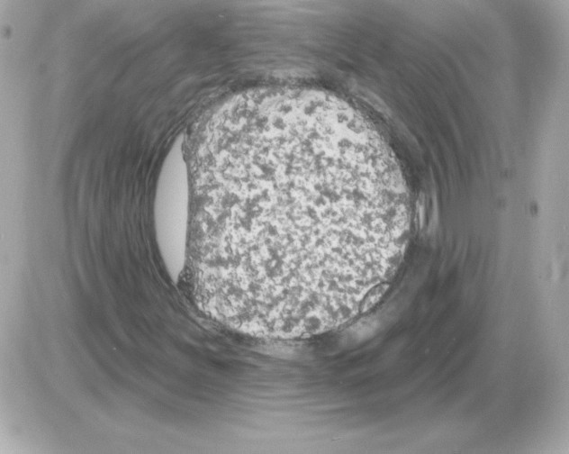 X0000085301251200704092249