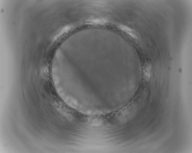 X0000085301254200704092249