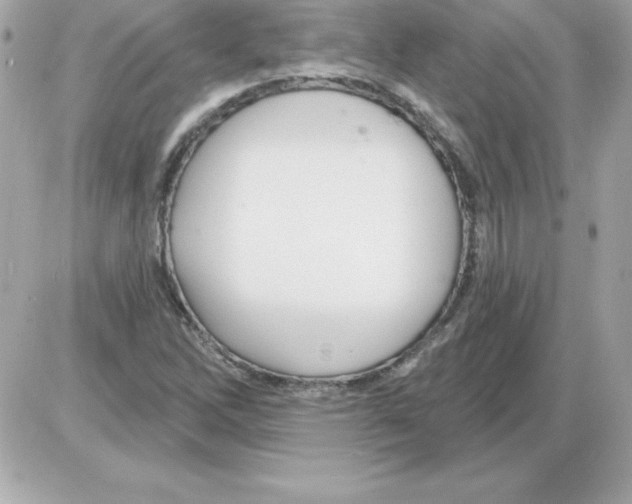X0000085301262200704092248
