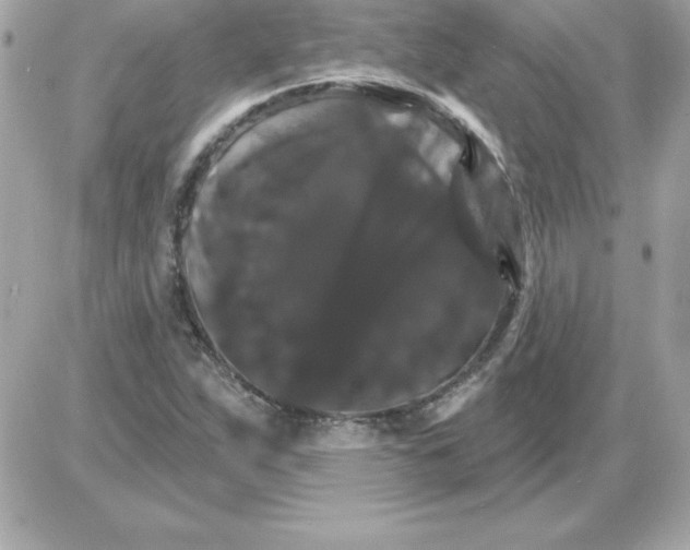 X0000085301263200704092248