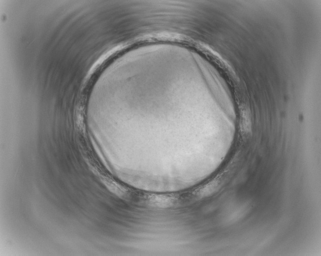 X0000085301266200704092248