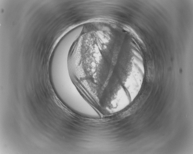 X0000085301276200704092248