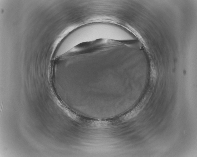 X0000085301277200704092248
