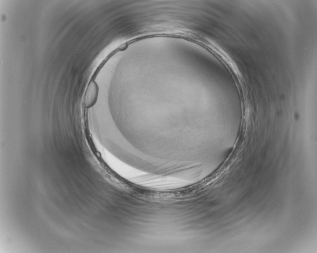 X0000085301291200704092248