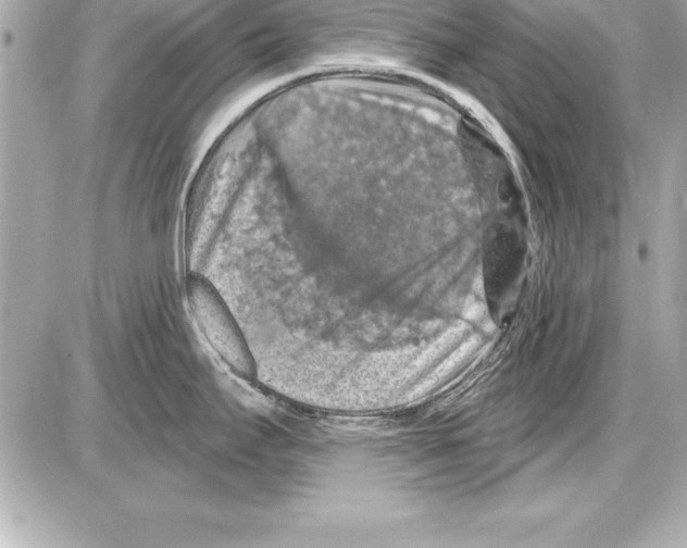 X0000085301295200704092248