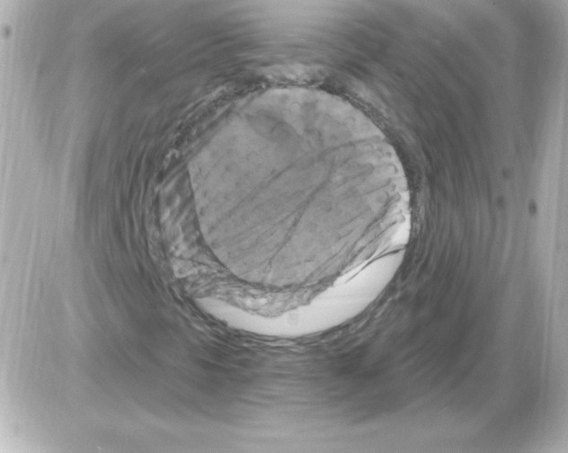 X0000085301297200704092247