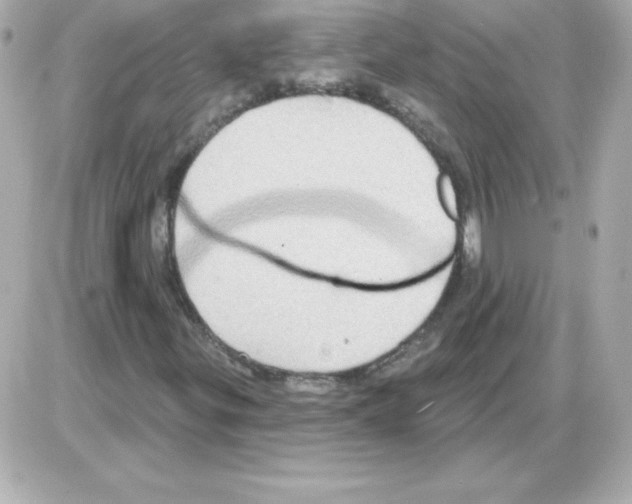 X0000085301299200704092247