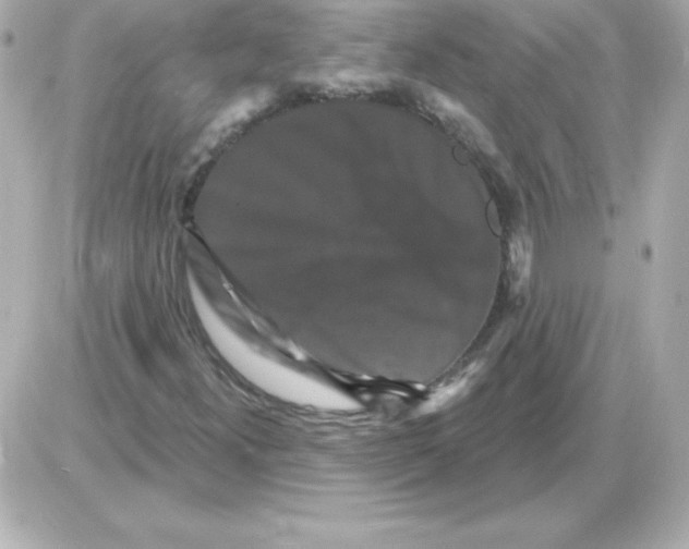 X0000085301300200704092247