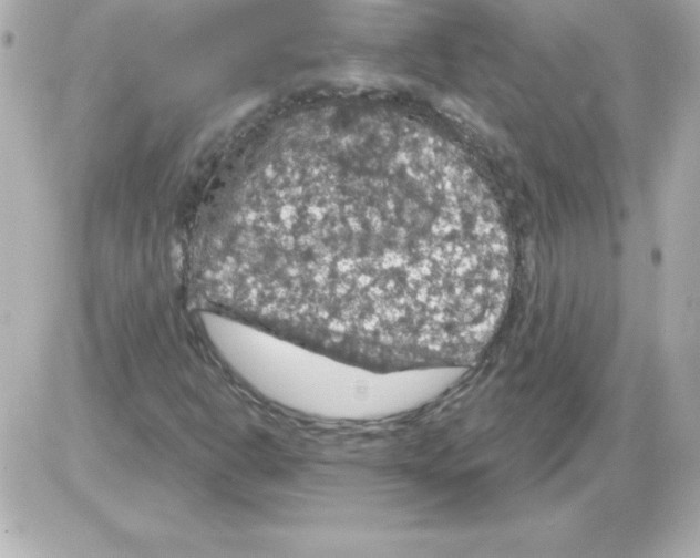 X0000085301302200704092247