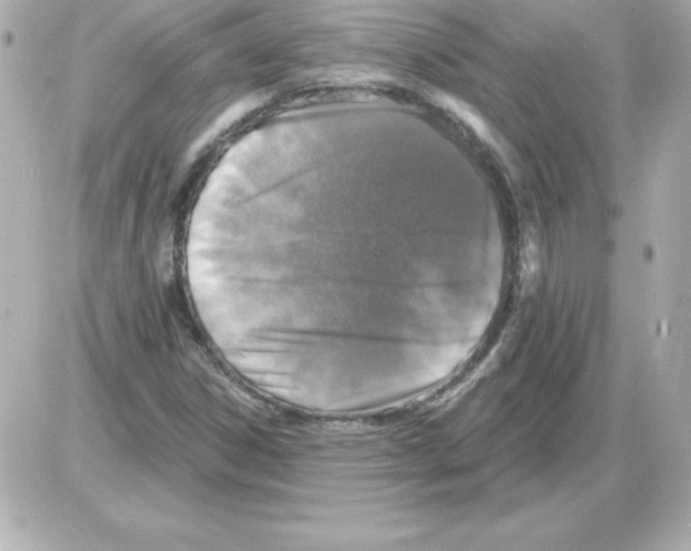 X0000085301306200704092247