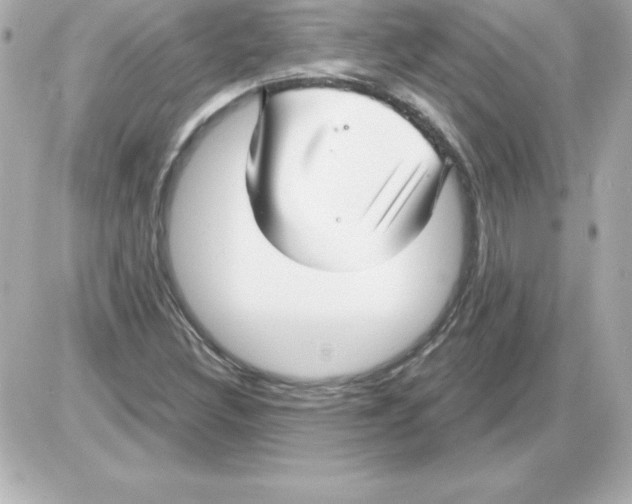 X0000085301308200704092247